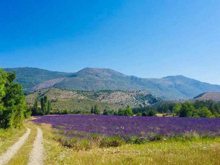 Le Moulin De La Viorne, Gite Avec Piscine Au Coeur De La Nature En Haute-Provence Les Omergues Ngoại thất bức ảnh