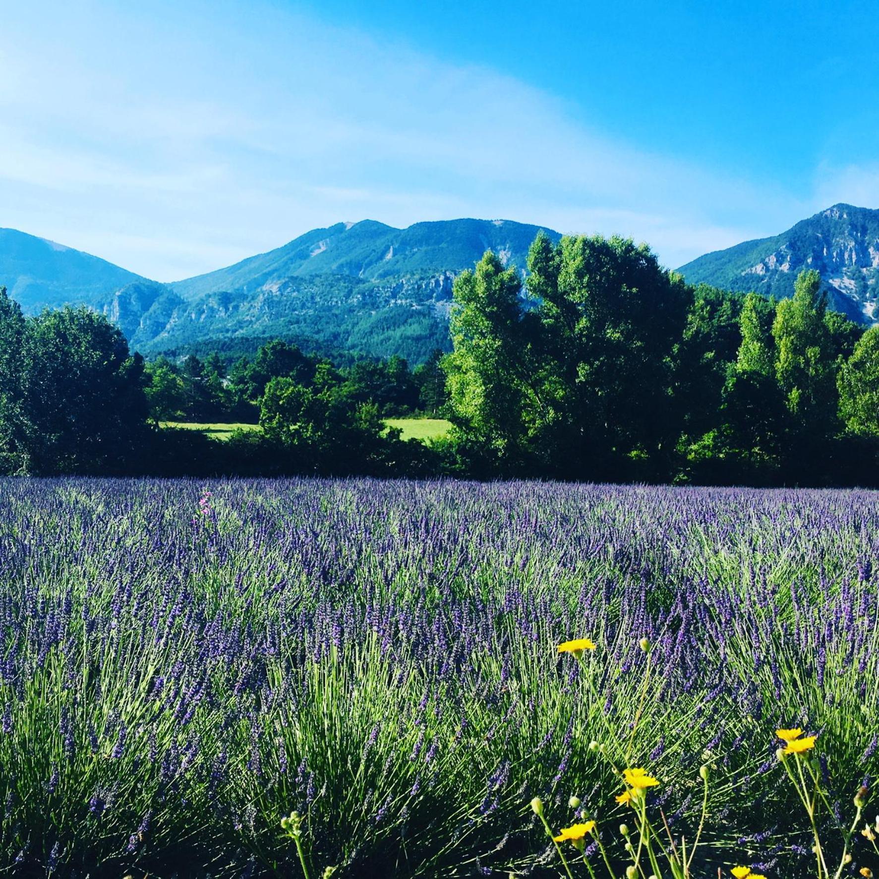 Le Moulin De La Viorne, Gite Avec Piscine Au Coeur De La Nature En Haute-Provence Les Omergues Ngoại thất bức ảnh