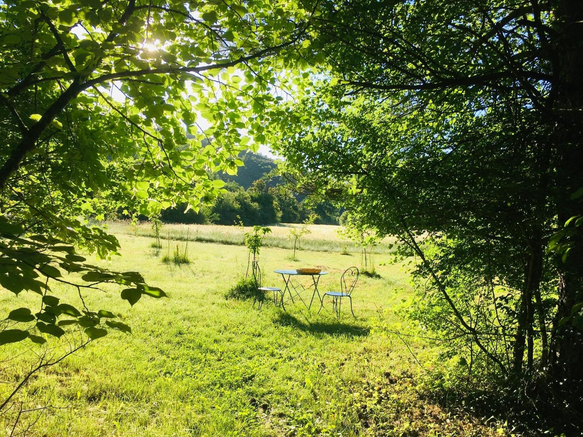Le Moulin De La Viorne, Gite Avec Piscine Au Coeur De La Nature En Haute-Provence Les Omergues Ngoại thất bức ảnh