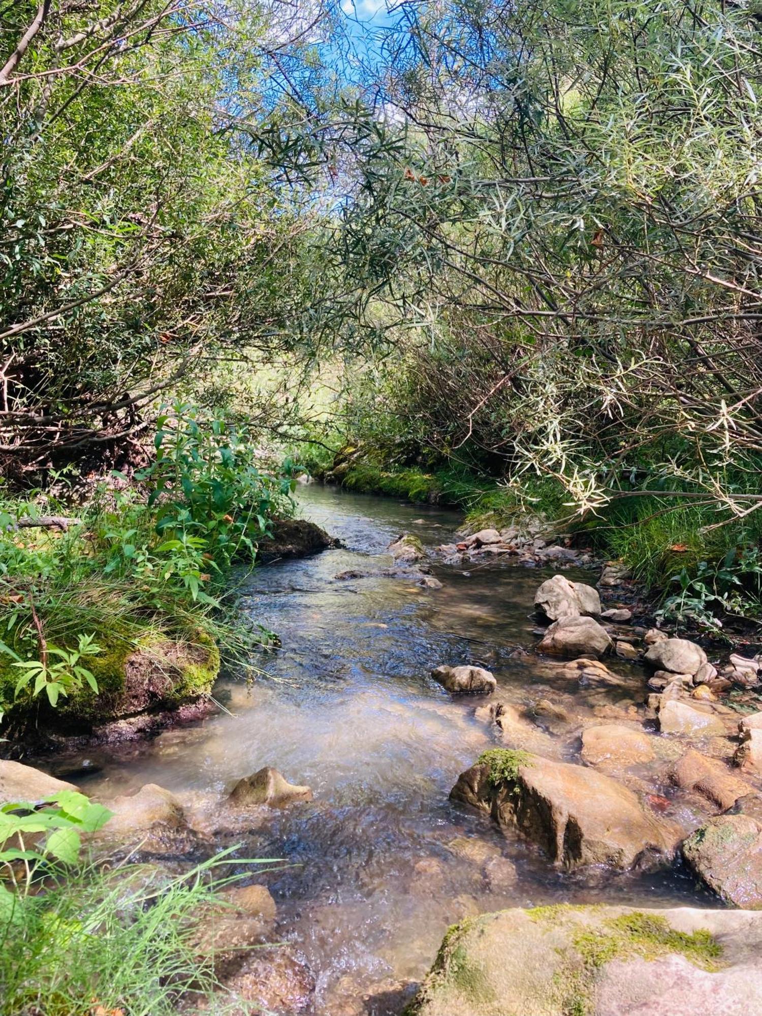Le Moulin De La Viorne, Gite Avec Piscine Au Coeur De La Nature En Haute-Provence Les Omergues Ngoại thất bức ảnh